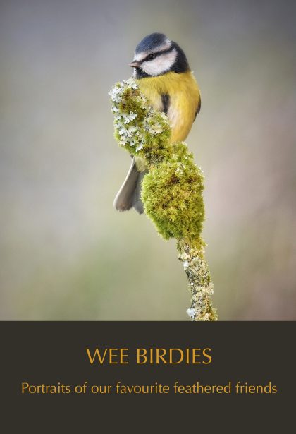Wee Birdies